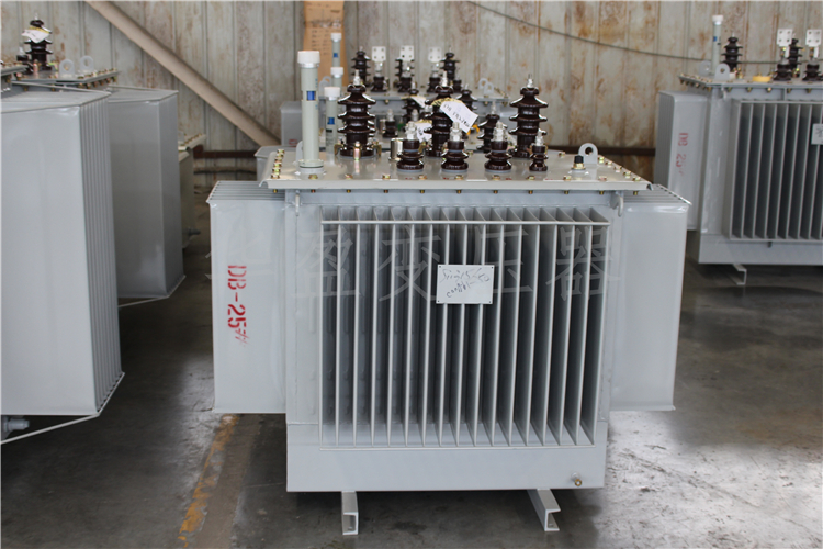 西藏S20-800kVA/10kV/0.4kV变压器